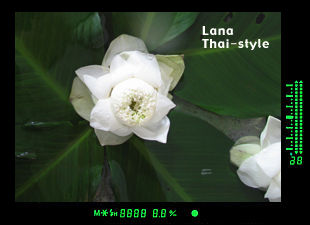 A tempe and monk which practices Ancient Lanna style teaching, Thailand link icon
