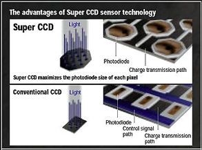 CCDillus3.jpg