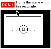 DCS-1screen.gif