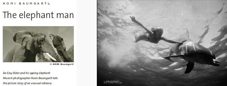 Elephant man and underwater dolphin by NOMI Baumgartl, link to i-wonder website