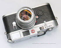 TOp section view, LEica M6 collectible Rooster Edition model