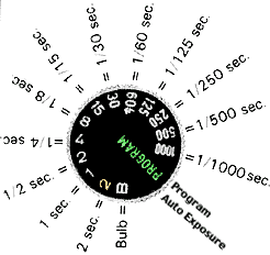 dialillus.gif