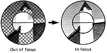 focus.jpg