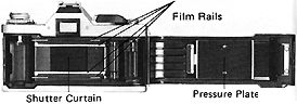 Backview.jpg