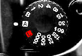 Dial.jpg (6k)