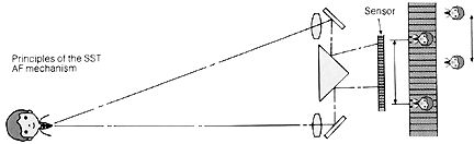AF Illus.jpg