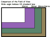 Chart.jpg