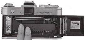 Backview.jpg (9k)