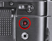 Pilotlamp.jpg