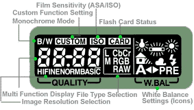 rearLCDD1x.gif