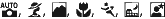 iconD70G.gif