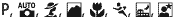iconD70H.gif