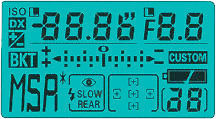F100 LCD.jpg (13k)