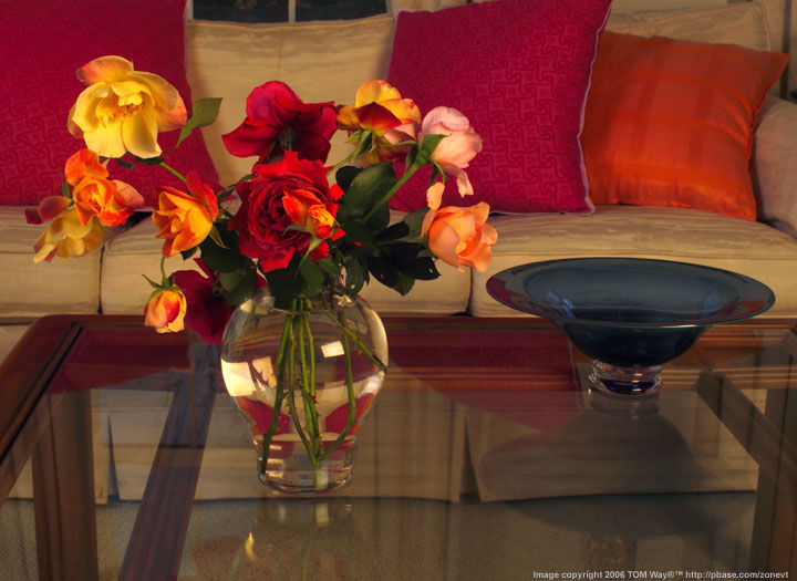 Still Life by Tom Way