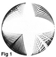 opillus3.jpg