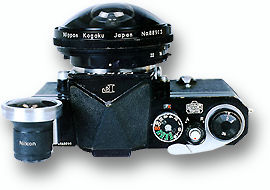 oldfishf8top.jpg (23k) Loading...