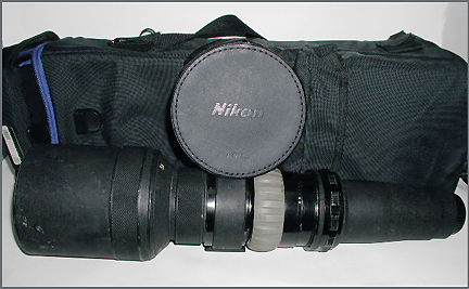 PB130043.JPG