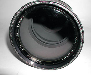 PB130046.JPG