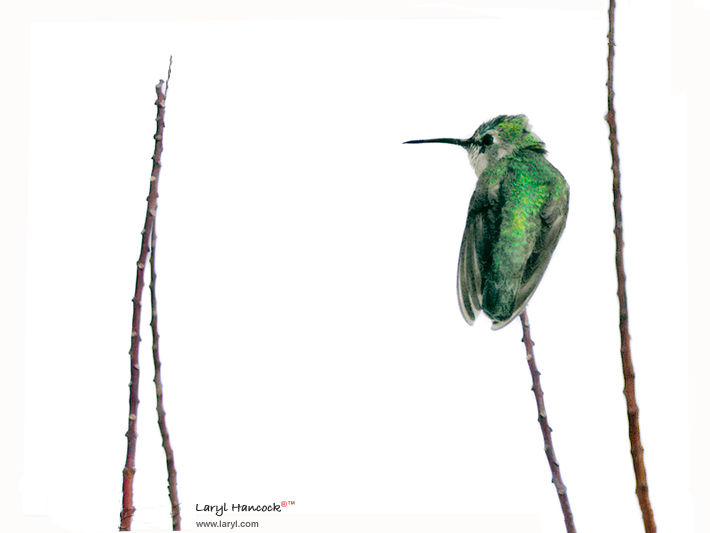 A still Life of a King Fisher as portrait by Laryl Hancock www.LARYL.com