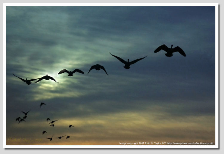 Cold Srping Sunrise ... by RUTH.Taylor