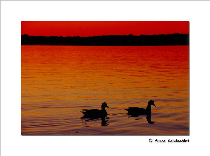 Lake front ... by ARUNA Kalutanthri