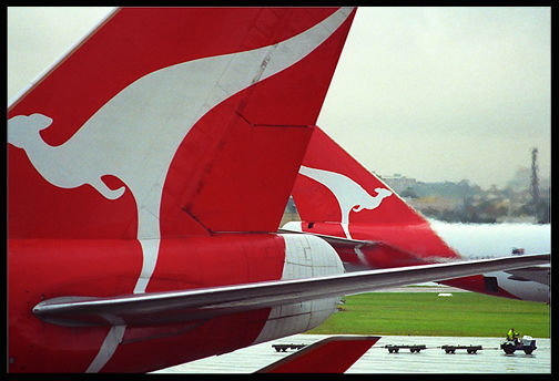 Flying Roos.... (47k) Loading ........