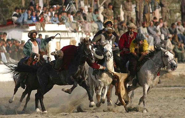 vincentkabulhorse.jpg (80k) Loading ...
