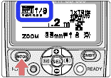 RPTb.gif