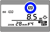 Mflash2.gif