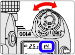 Mflash4.gif