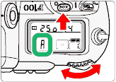 TTLmultiA.gif
