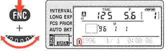 MF281k.gif
