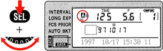 MF282e.gif