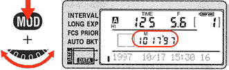 MF282p.gif