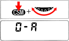 CSM1.gif