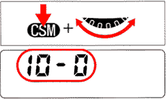 CSM2.gif