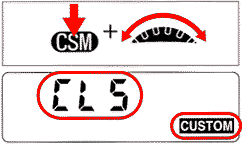 CSM3.gif