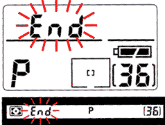 basic12.gif