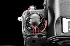 basic16d.jpg