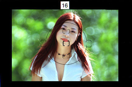 basic20M.jpg