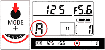 basic20a.gif