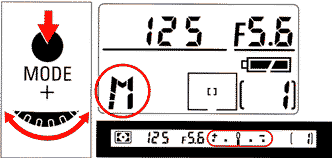 basic20e.gif