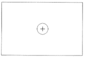 sreeenC.gif