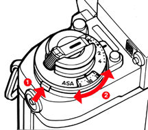 fig7.jpg (14k)