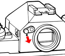 Shutter.jpg (12k)