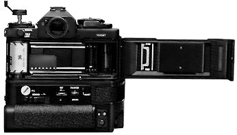 Backview2.jpg (15k)