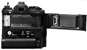 Backview.jpg (6k)