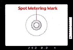 Spotview.jpg (5k)
