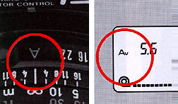 AUTO LCD.gif