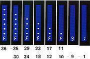 frame graph.jpg